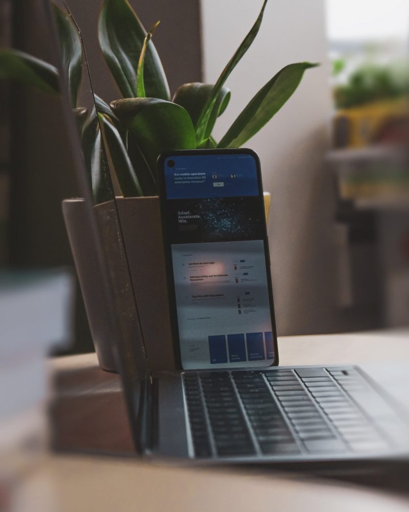 sigmund-65u8D-iNh0M-unsplash